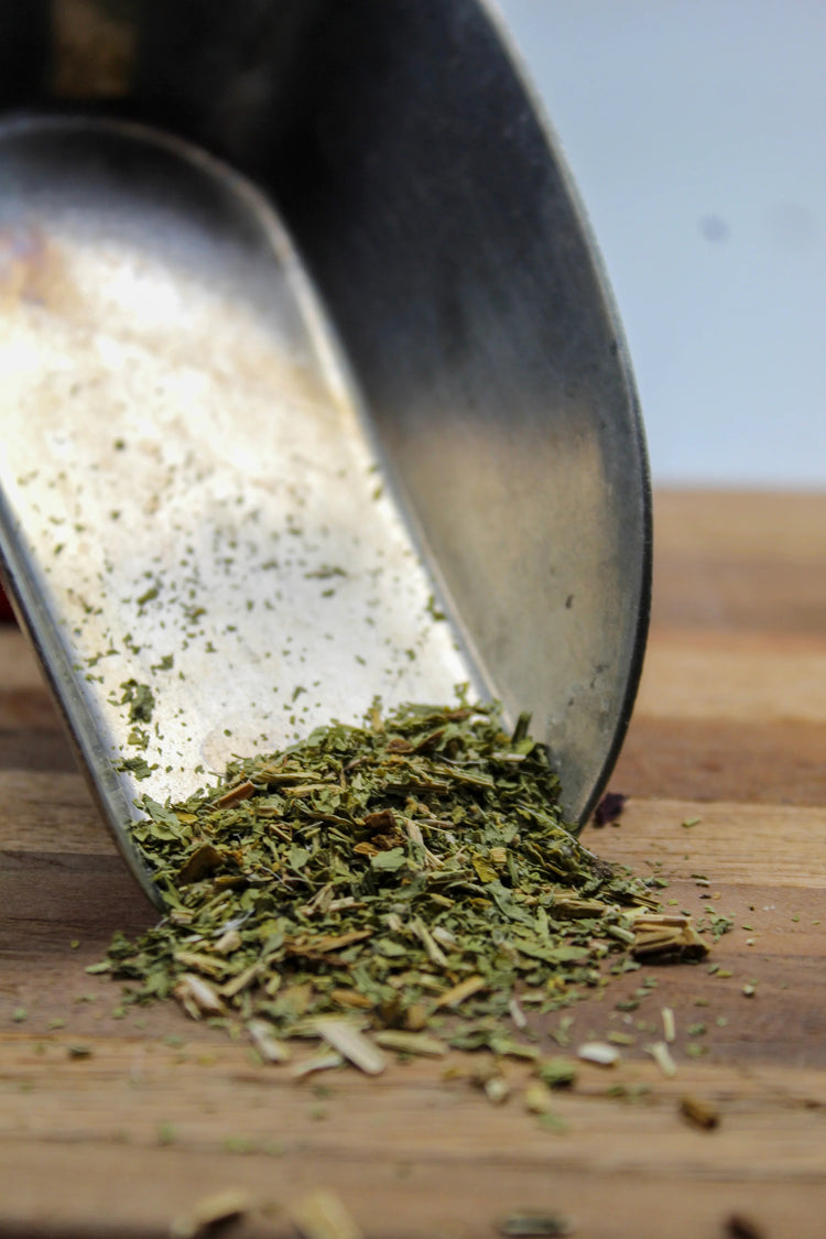 Blessed Thistle Bulk Herbs