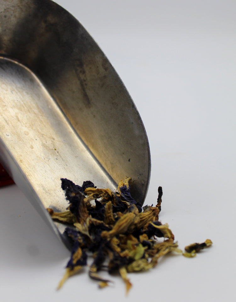 Butterfly Pea Tea