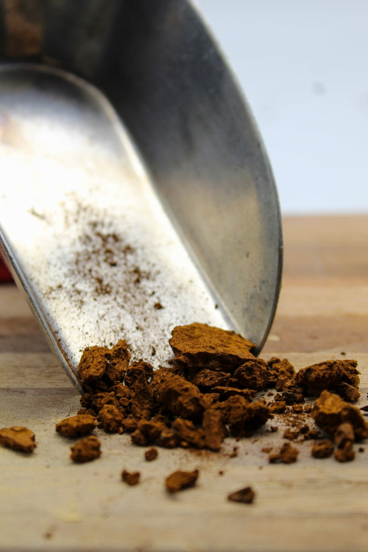 Chaga Mushroom Bulk Herbs