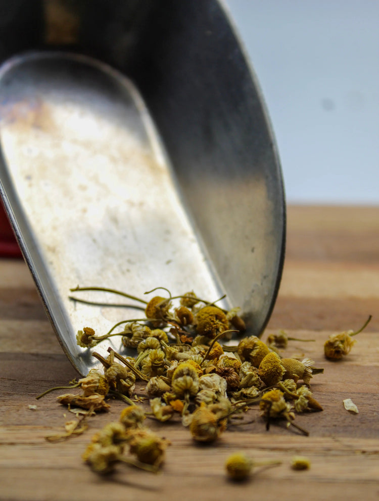 Chamomile Bulk Herbs