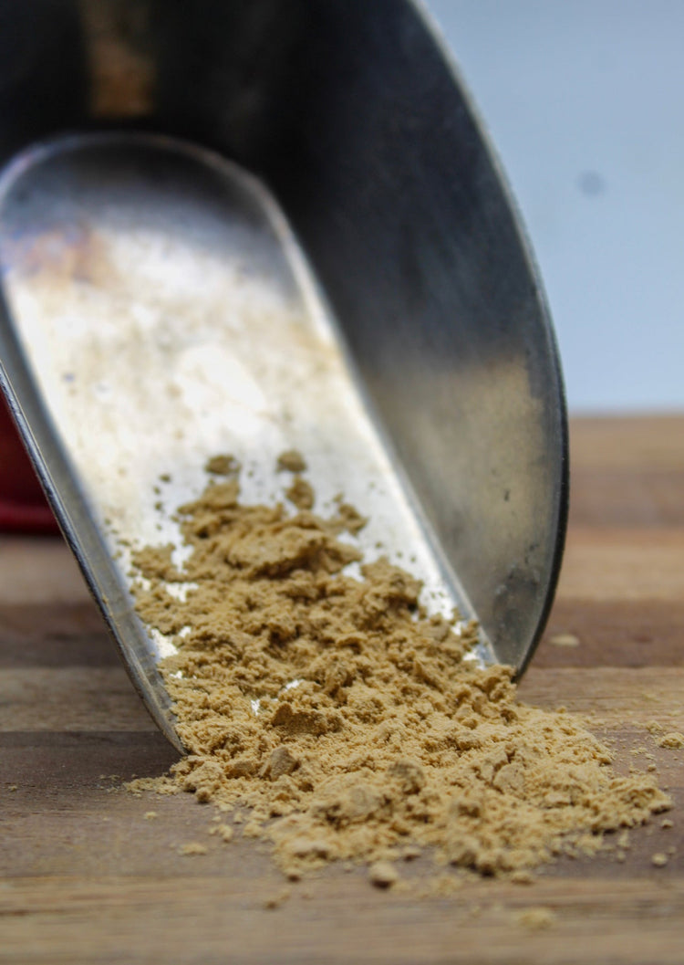 Cordyceps Mushroom Bulk Herbs