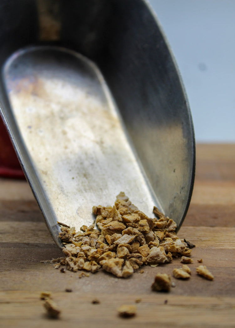 Dong Quai Root Bulk Herbs