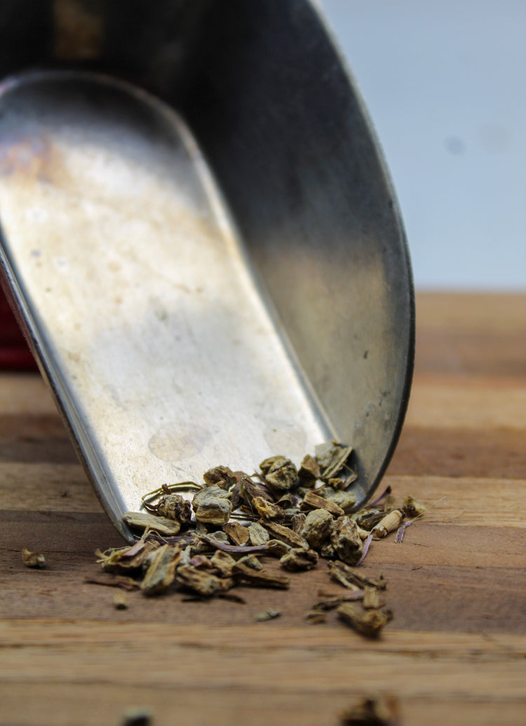 Echinacea Angustifolia