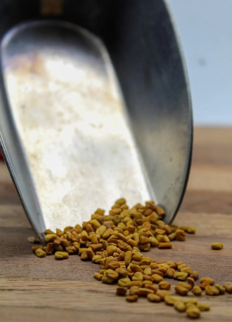 Fenugreek Seed Bulk Herbs