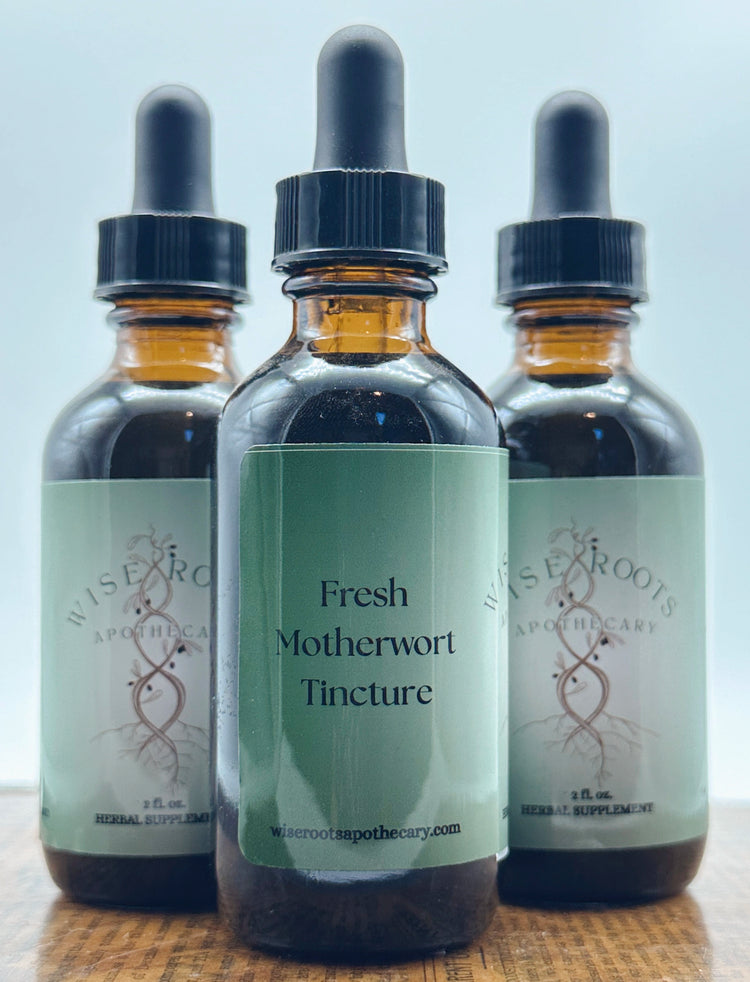 Fresh Motherwort Tincture