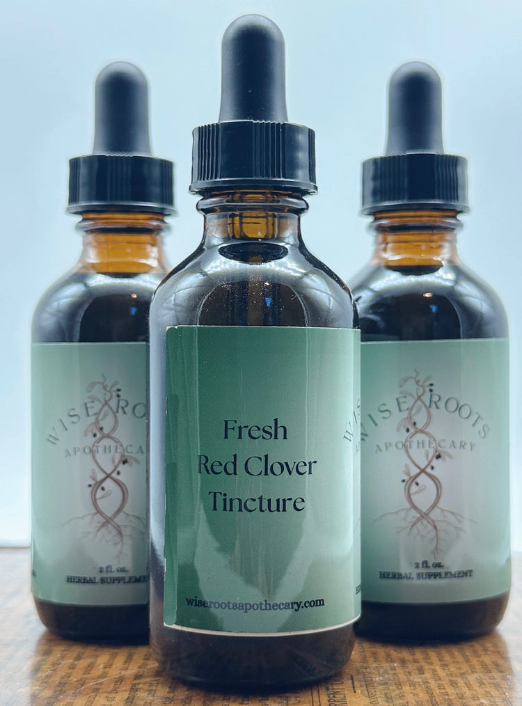 Fresh Red Clover Tincture