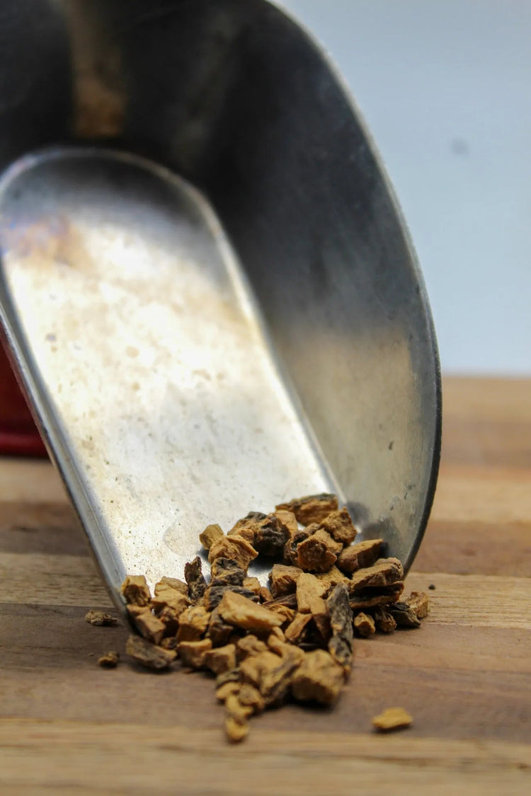Gentian Root Bulk Herbs
