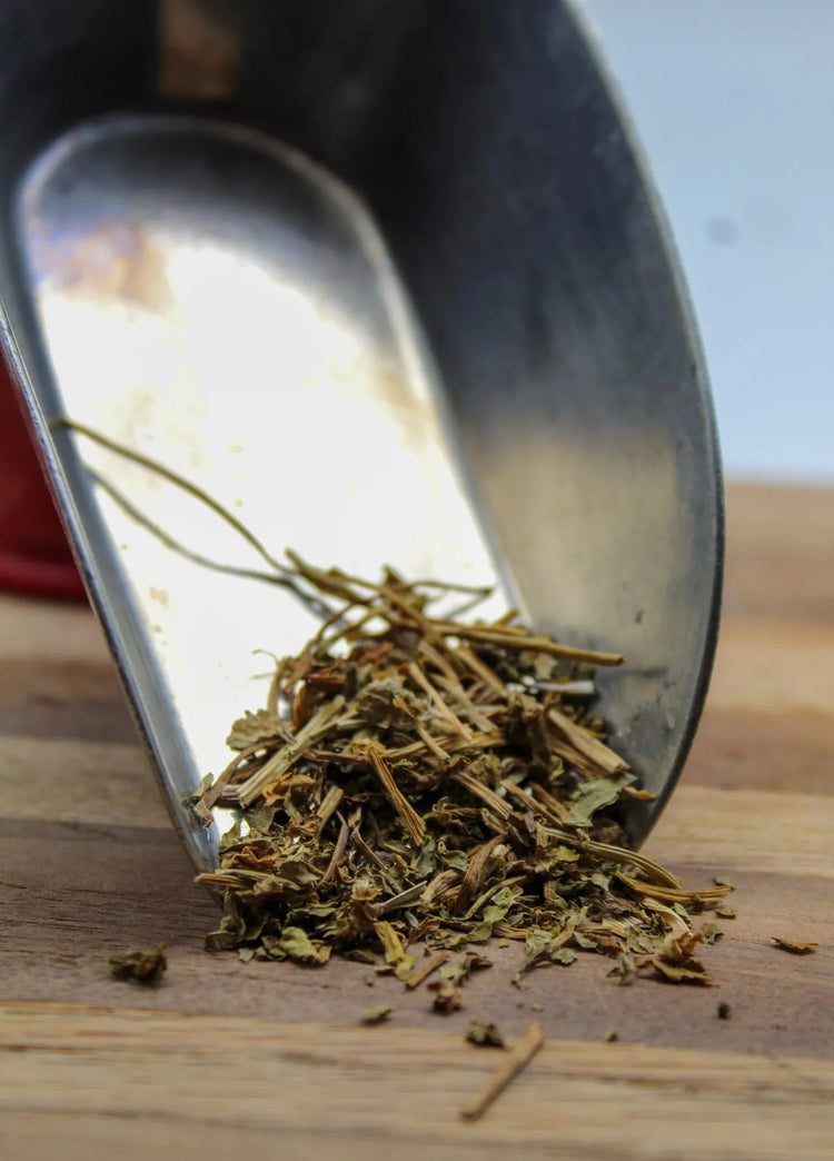 Gotu Kola Bulk Herbs