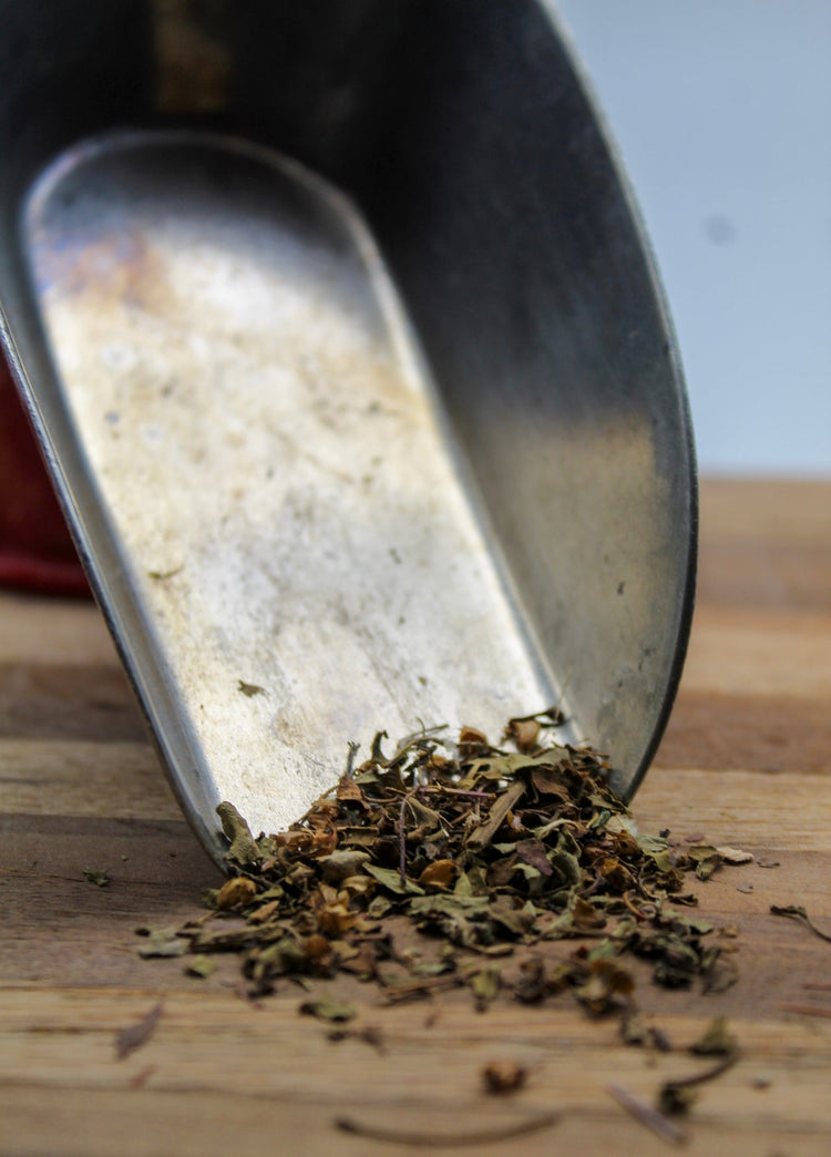 Holy Basil Bulk Herbs