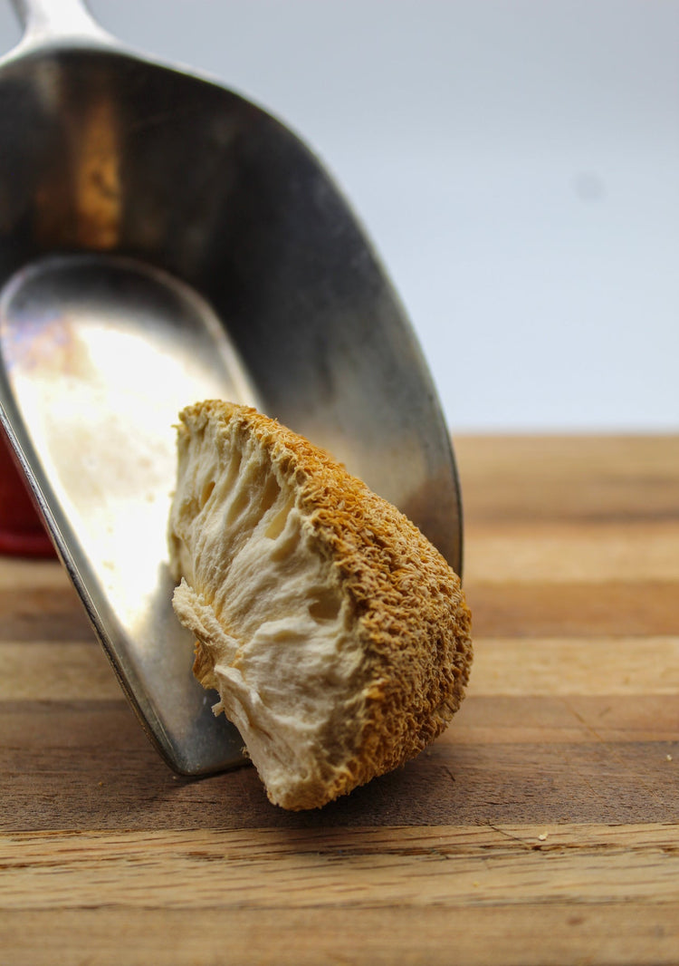 Lion's Mane Mushroom Bulk Herbs