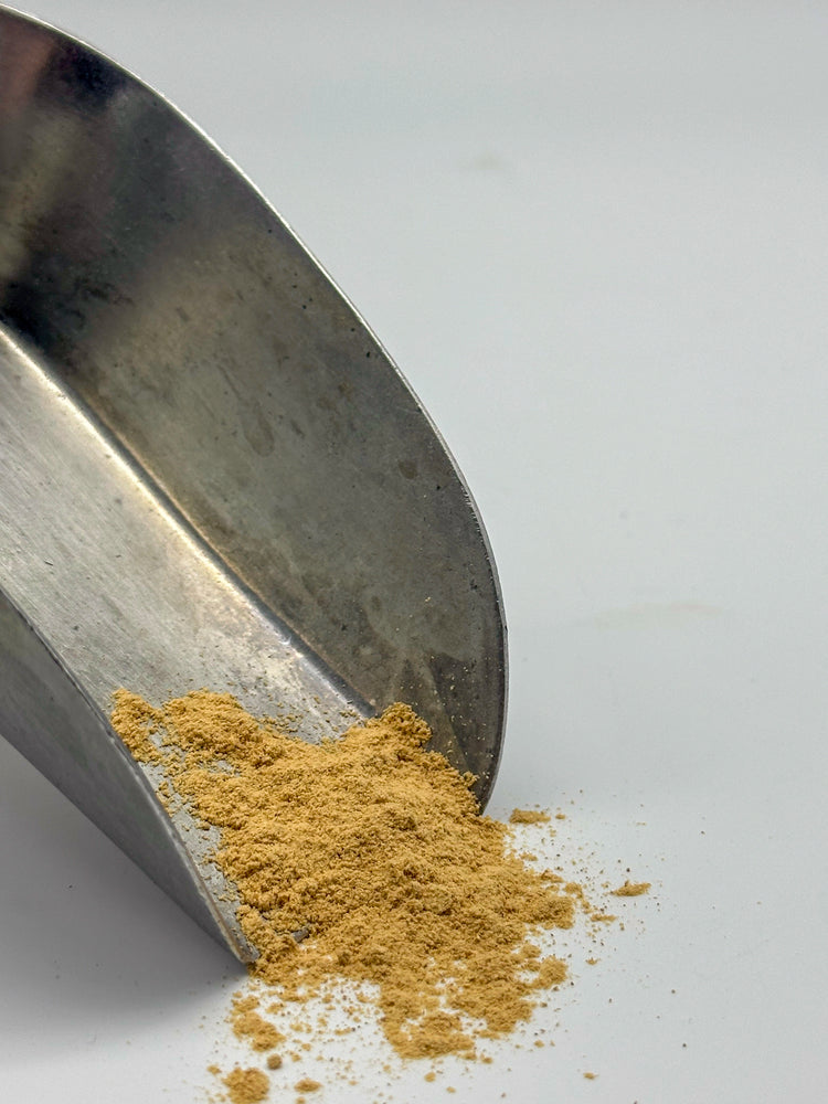 Lion's Mane Mushroom Powder