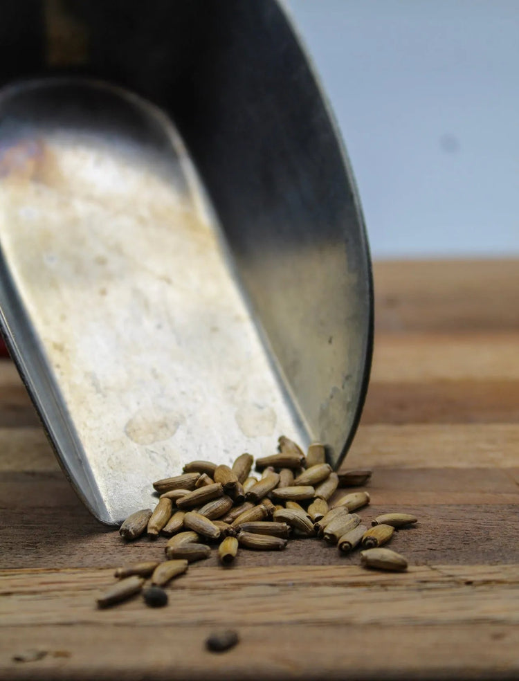 Milk Thistle Seed Bulk Herbs