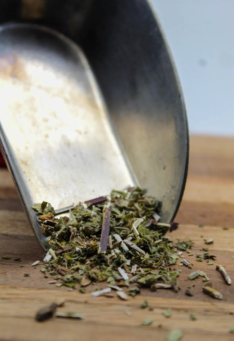 Motherwort Bulk Herbs