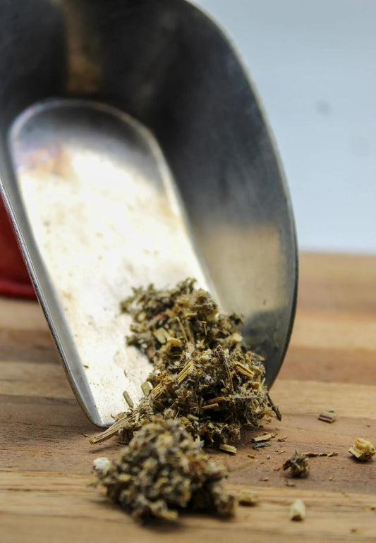 Mugwort Bulk Herbs