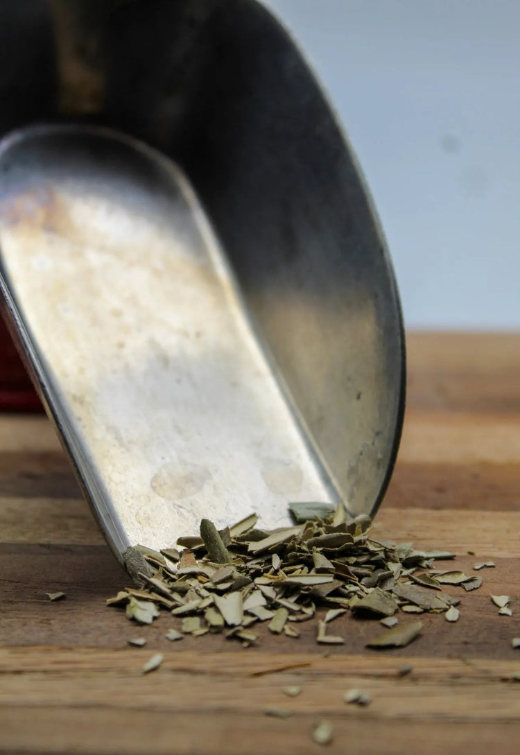 Olive Leaf Bulk Herbs