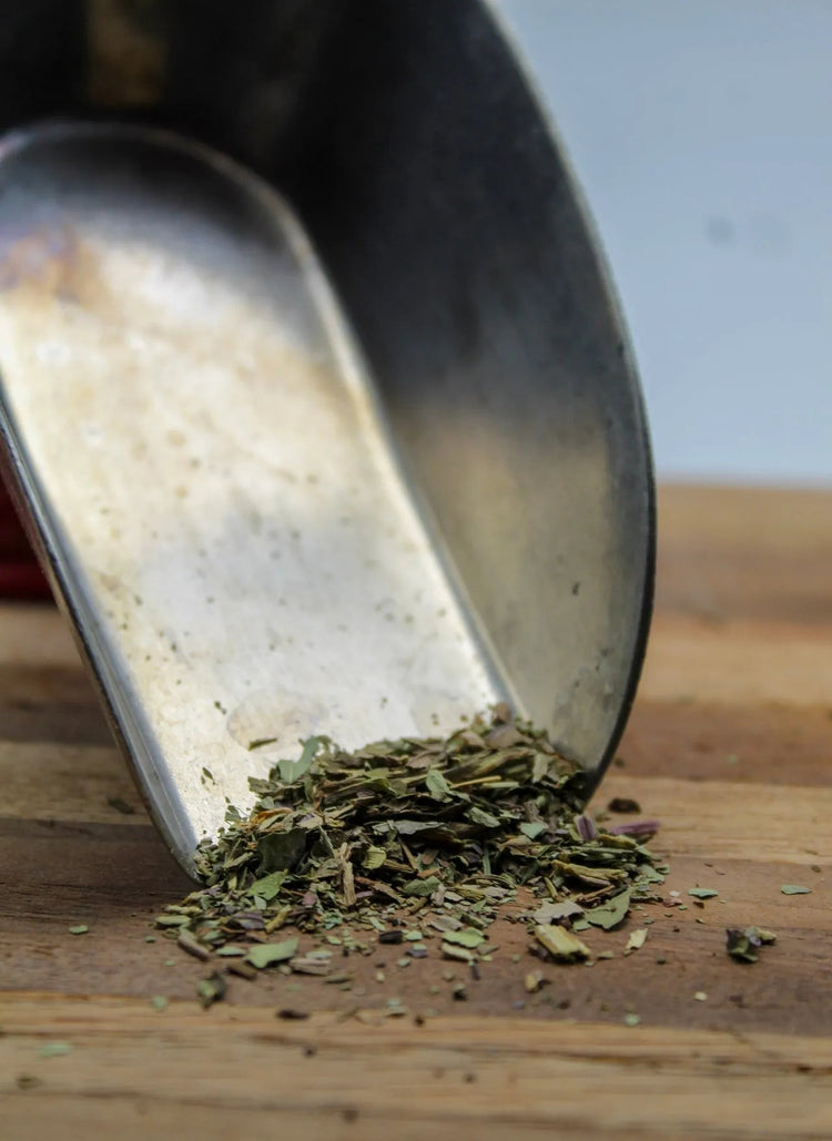 Plantain Leaf Bulk Herbs