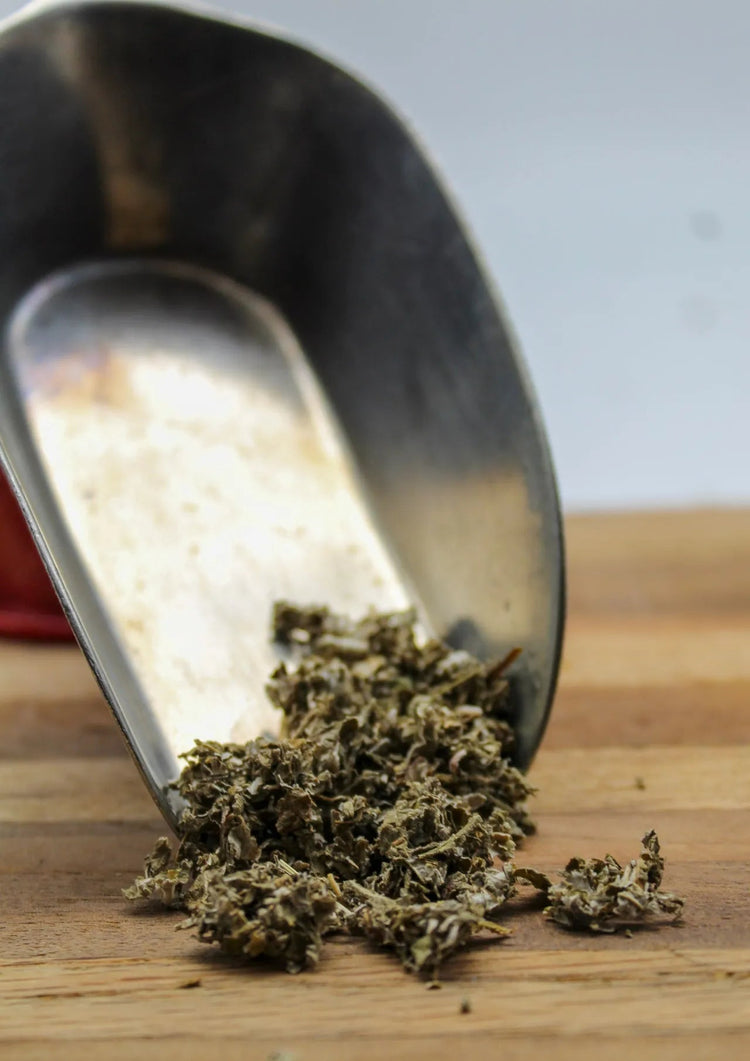 Raspberry Leaf Bulk Herbs