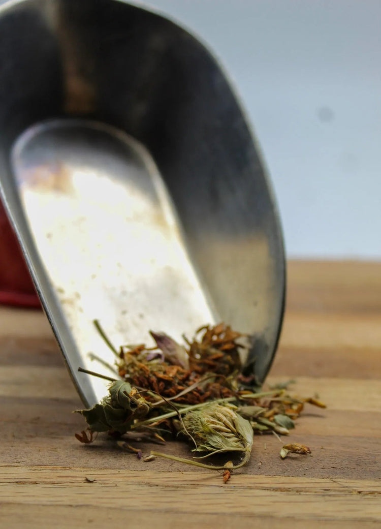 Red Clover Blossom Bulk Herbs