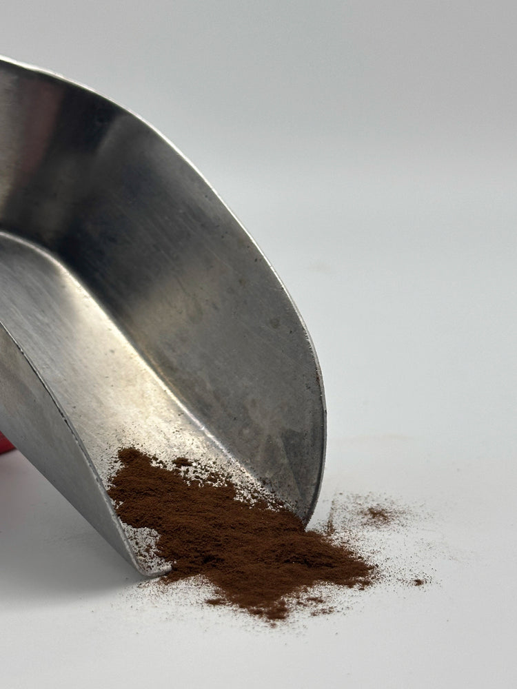 Reishi Mushroom Extract Powder