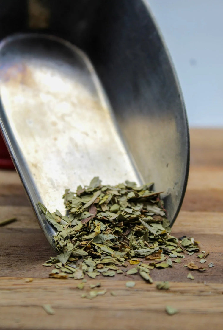 Senna Leaf Bulk Herbs