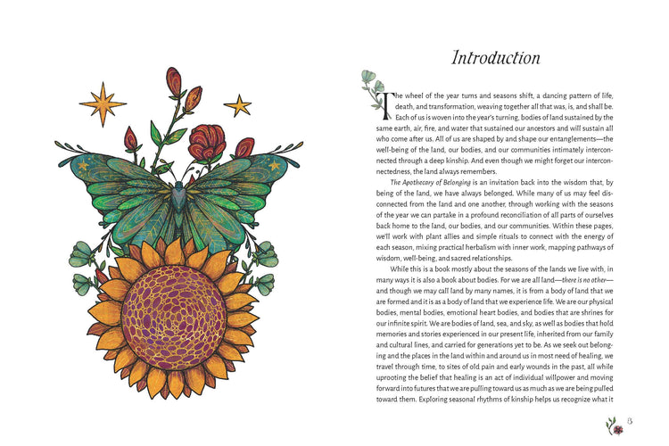 The Apothecary of Belonging: Seasonal Rituals & Herbalism Home & Spirit