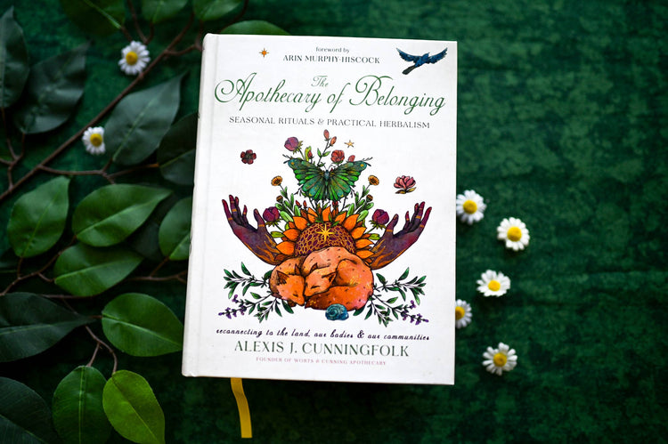 The Apothecary of Belonging: Seasonal Rituals & Herbalism Home & Spirit