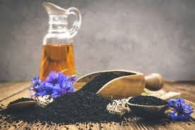 Rooted in Oil: Essential fatty acids, plant intelligence, and the forgotten art of nourishment