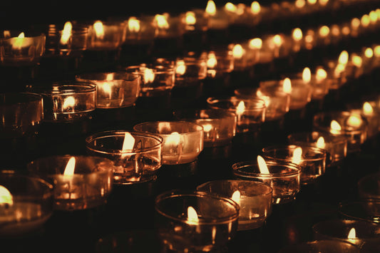 Grief Is Praise: Plant Allies for Love, Loss, and Letting Go