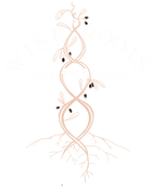 Wise Roots Apothecary