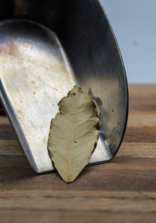 Bay Leaf Bulk Herbs