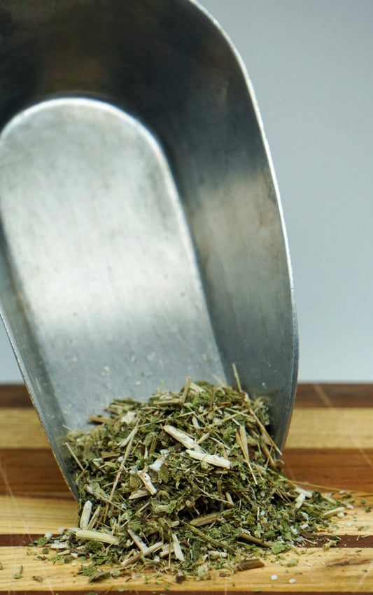 Blue Vervain