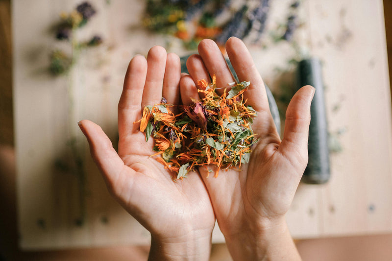 Complimentary 15 Minute Herb Chat Classes and Consults
