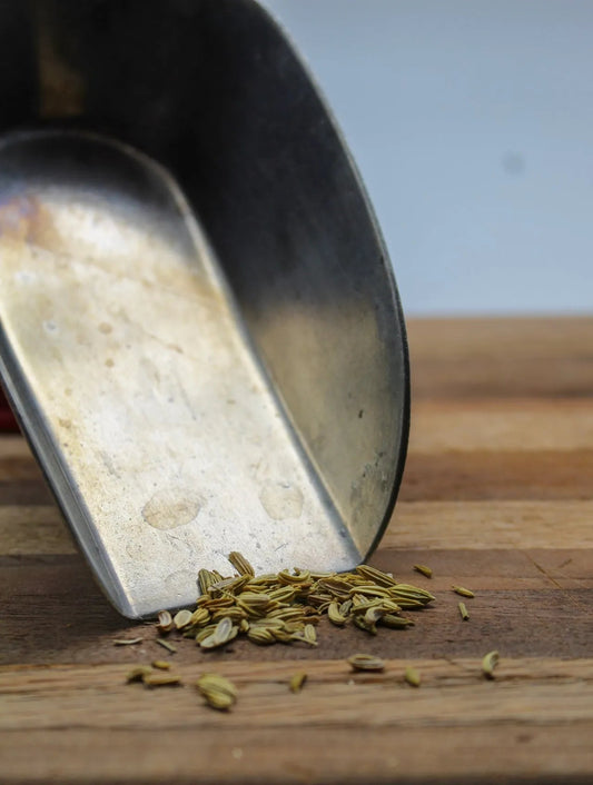 Fennel Seed Bulk Herbs