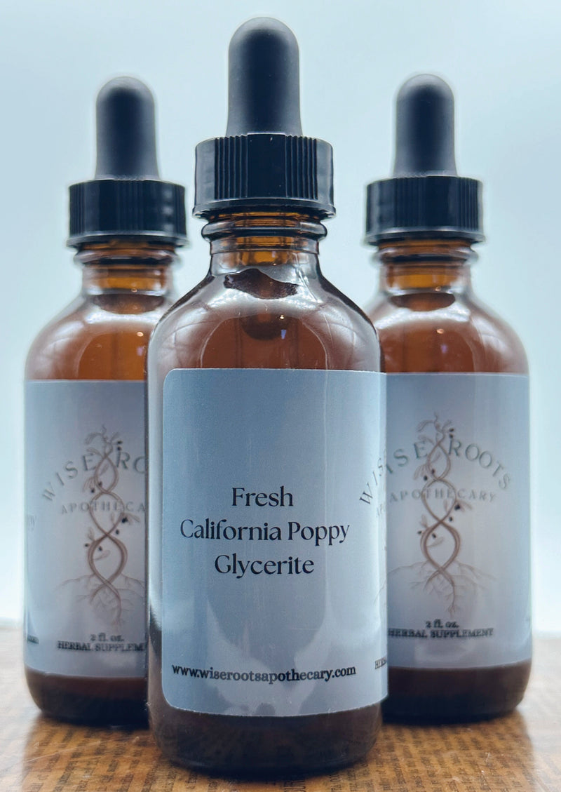 Fresh California Poppy Glycerite