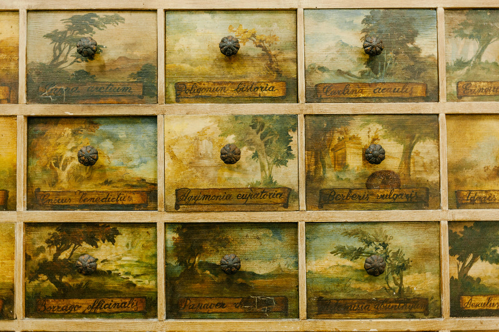Wooden drawers with painted labels for plant medicine and landscapes on a wooden surface