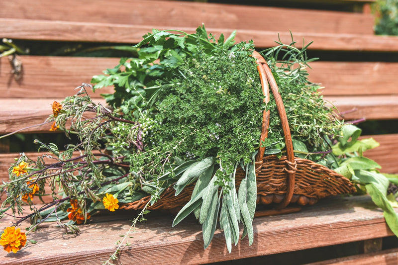 Holistic Herbal Consult Follow - up Session Classes and Consults