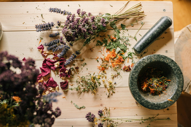 Holistic Herbal Initial Consultation Classes and Consults