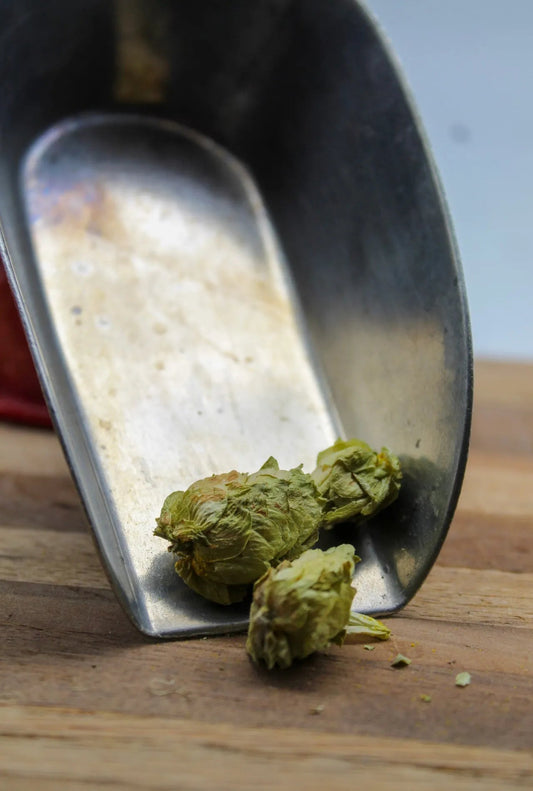 Hops Bulk Herbs