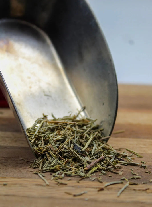 Horsetail Bulk Herbs