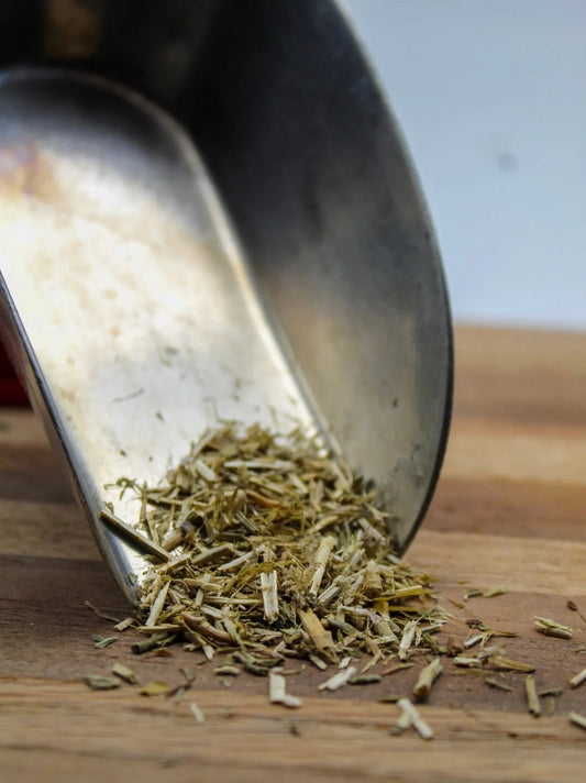 Hyssop Bulk Herbs
