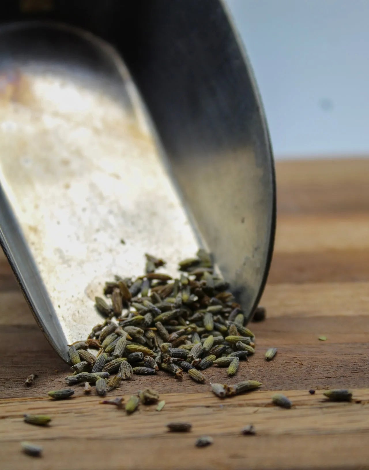 Lavender Flower Bulk Herbs