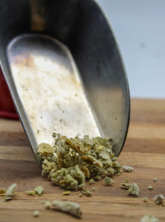Mullein Leaf Bulk Herbs