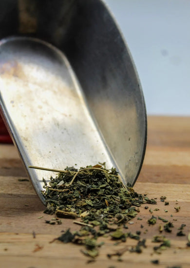 Nettle Bulk Herbs