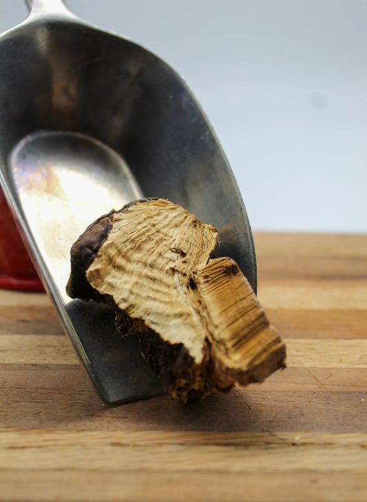 Reishi Mushroom Bulk Herbs