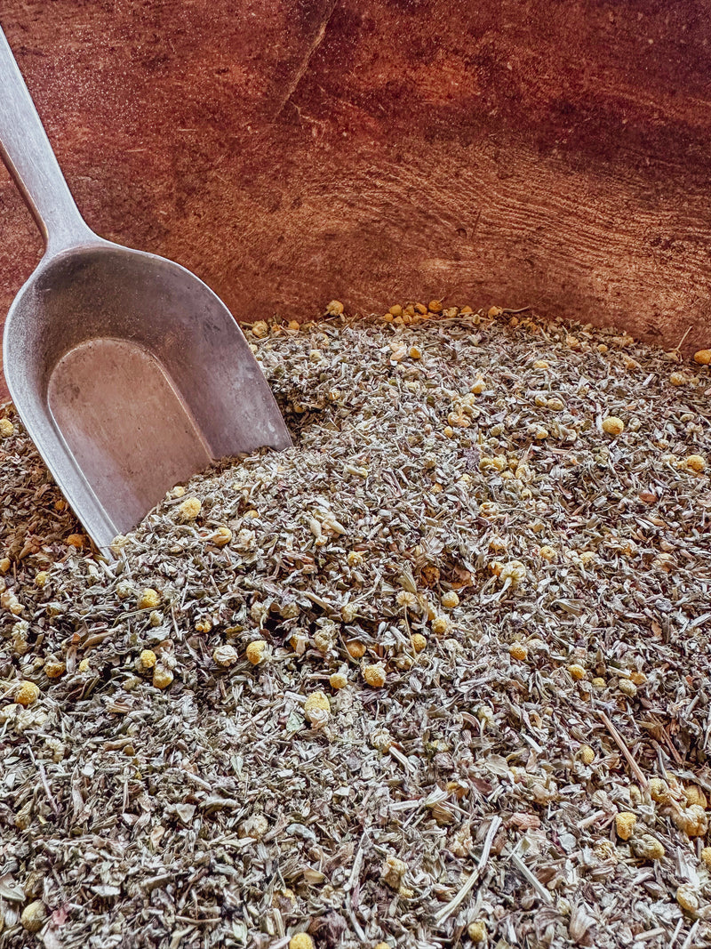 throbbin noggin herbal tea blend