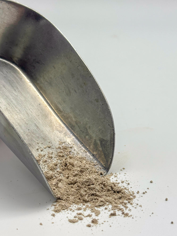Turkey Tail Mushroom Powder