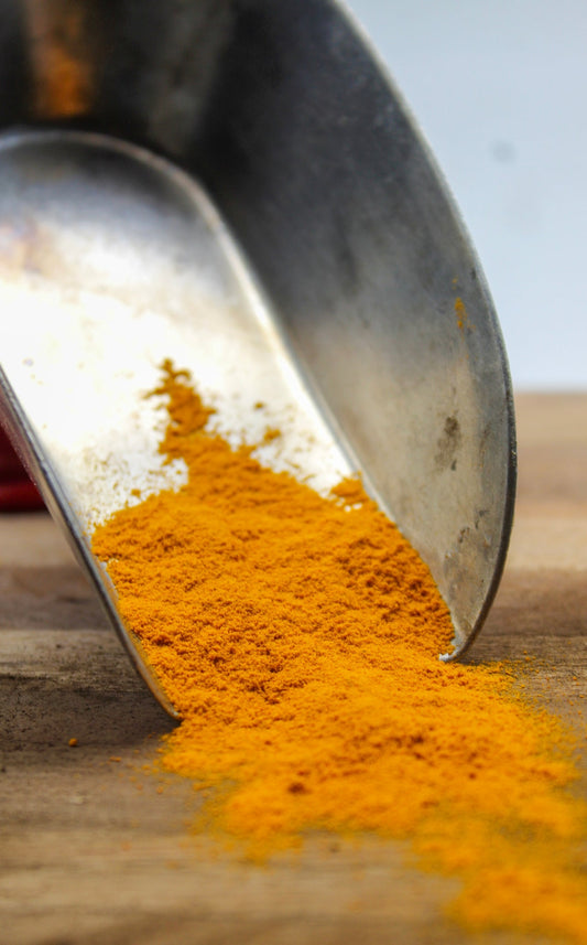 Turmeric Bulk Herbs