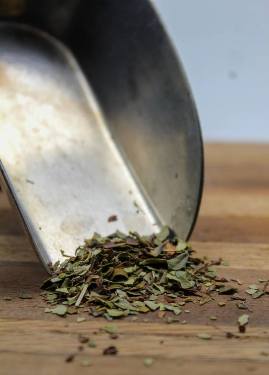 Uva Ursi Bulk Herbs