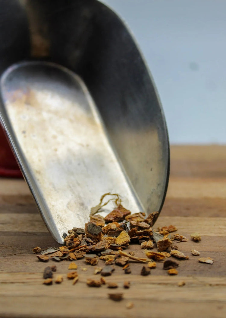 Wild Cherry Bark Bulk Herbs