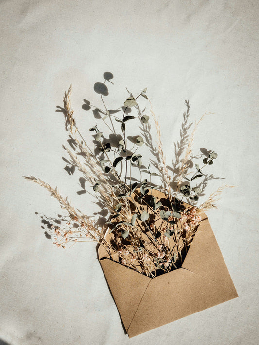 Wise Roots Apothecary Gift Card Gift Card